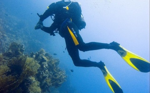 Total diving